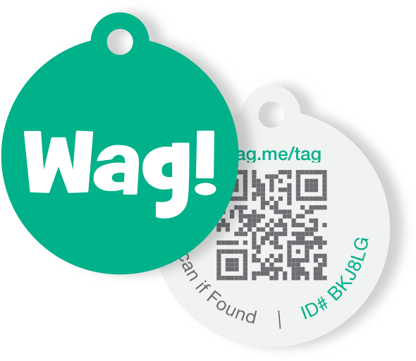 Wag! Tag - Smart Dog ID Tags | Wag!